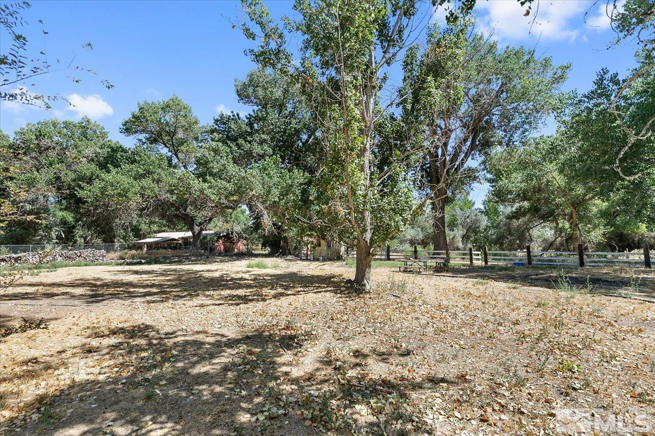 5790 Hooper Place Fallon, NV 89406 - Photo 13 of 39 a view of a yard with a tree