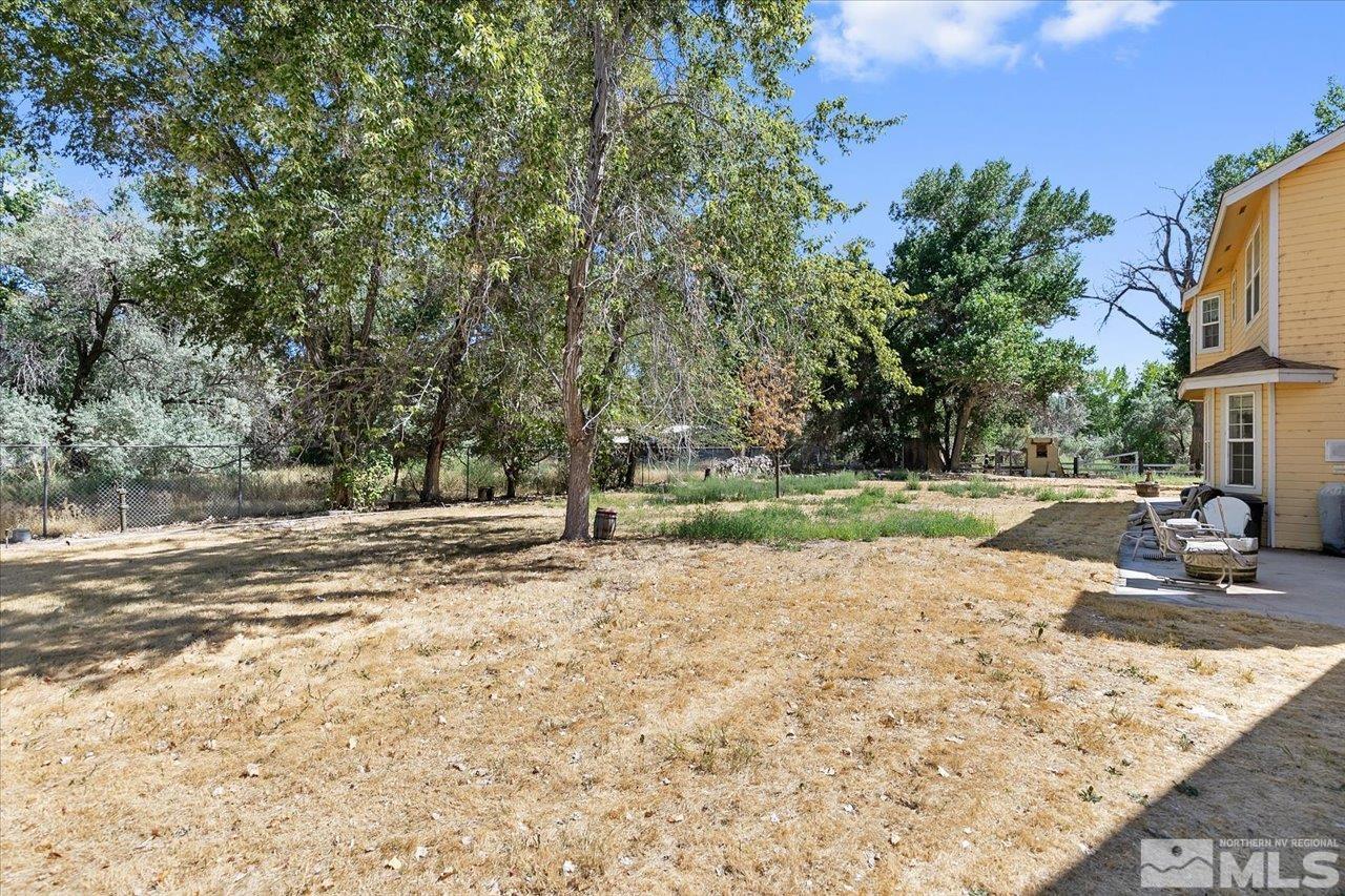 5790 Hooper Place Fallon, NV 89406 - Photo 6 of 39 a view of a yard with plants