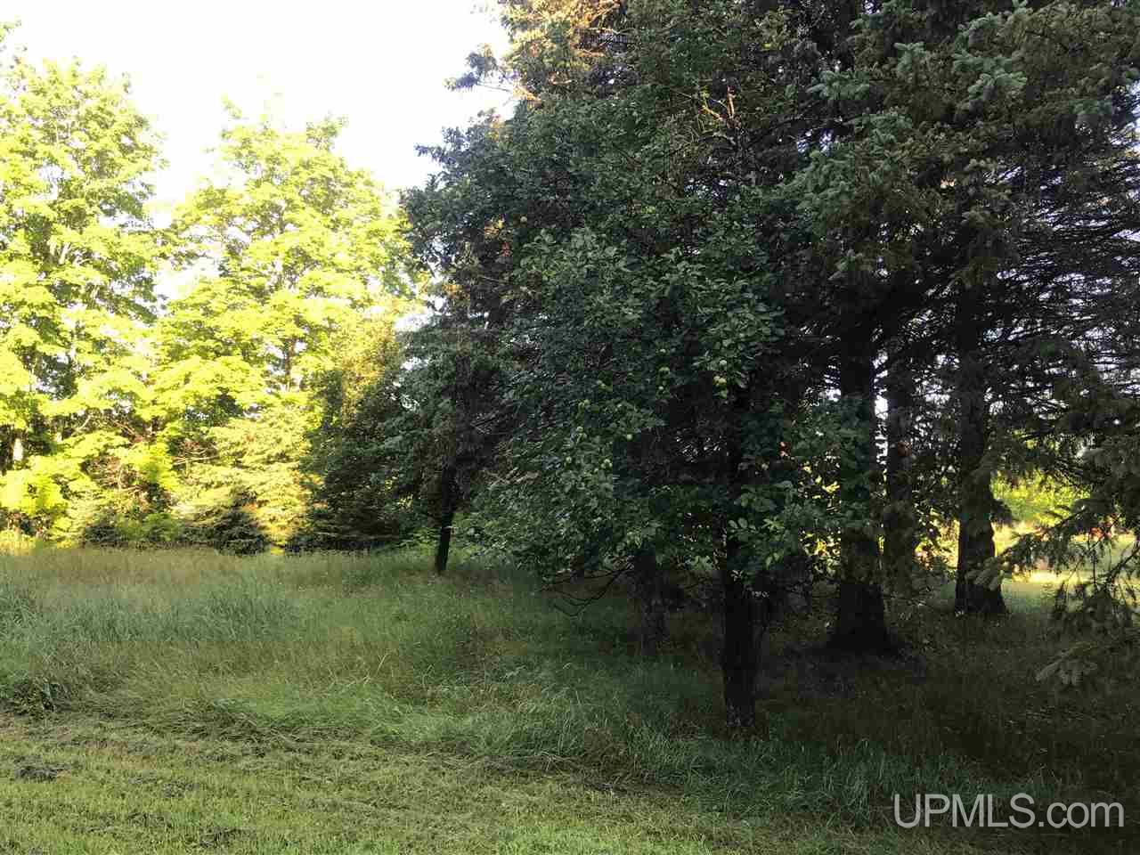N2430 Coaster Road Trenary, MI 49891 - Photo 8 of 20