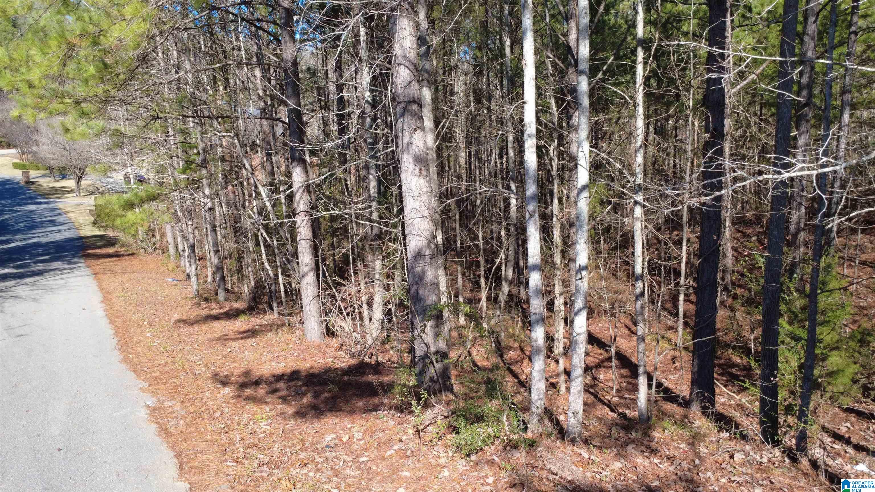 105 Hampton Lane, Unit 13 Pelham, AL 35124 - Photo 24 of 27