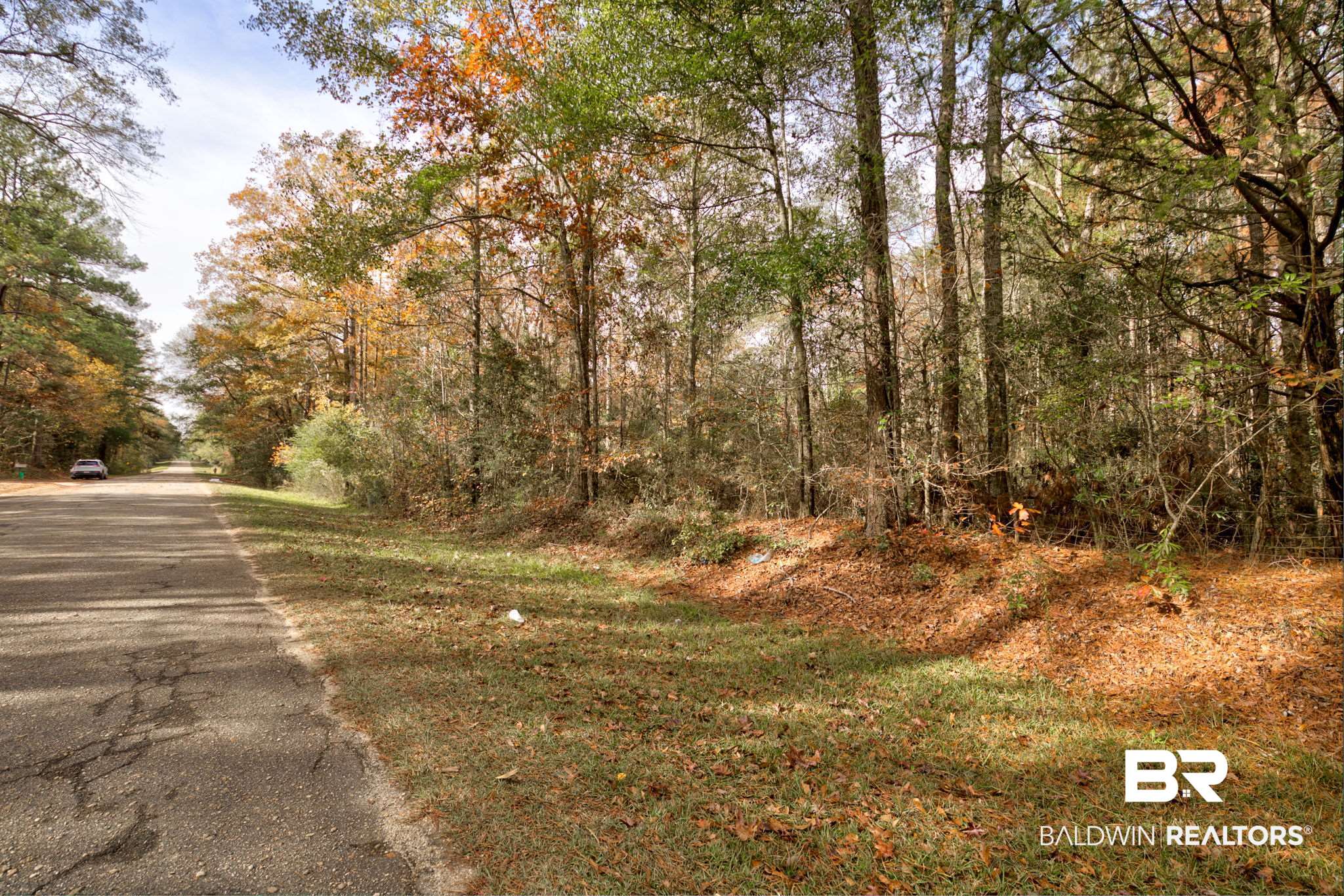 Old Greenville Road Evergreen, AL 36401 - Photo 8 of 16