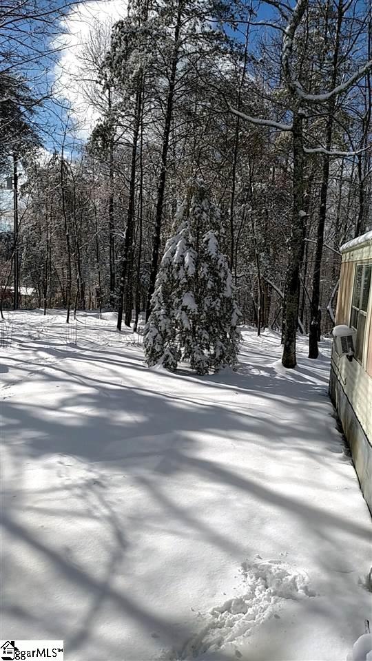 19 Camp Road Travelers Rest, SC 29690 - Photo 2 of 12