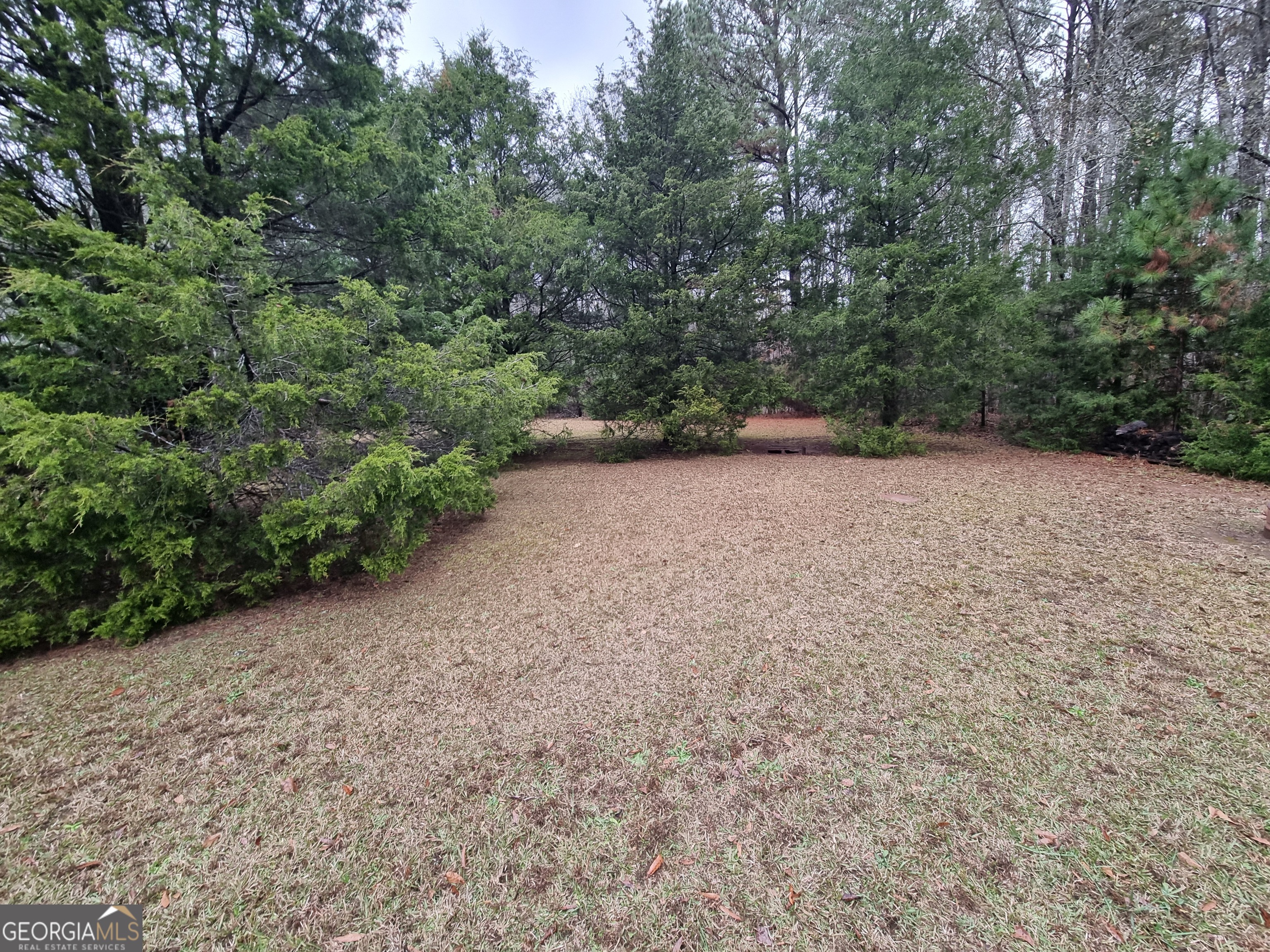 200 Abner Road Franklin, GA 30217 - Photo 39 of 87