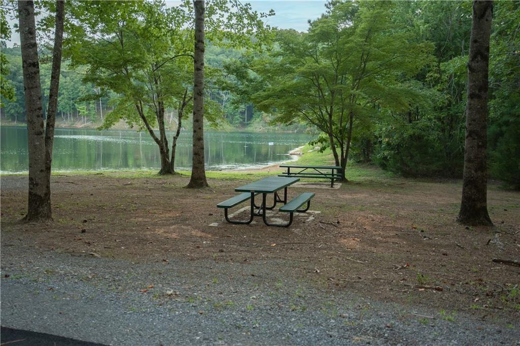 169 Jasmine Drive Ranger, GA 30734 - Photo 38 of 61