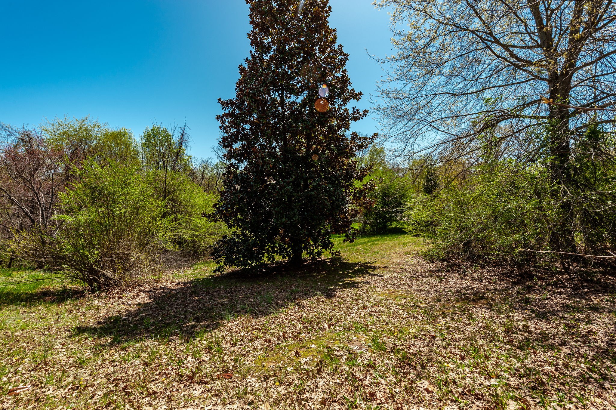170 North Leath Road Portland, TN 37148 - Photo 65 of 83