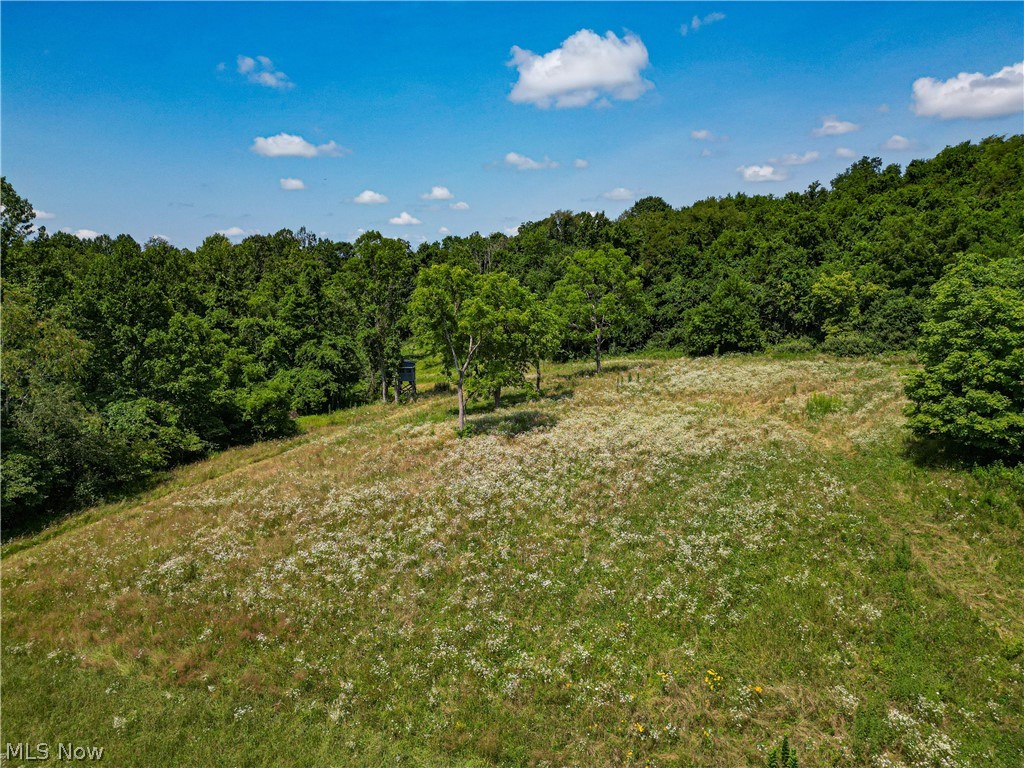 27339 Tabor Ridge Road Caldwell, OH 43724 - Photo 10 of 50