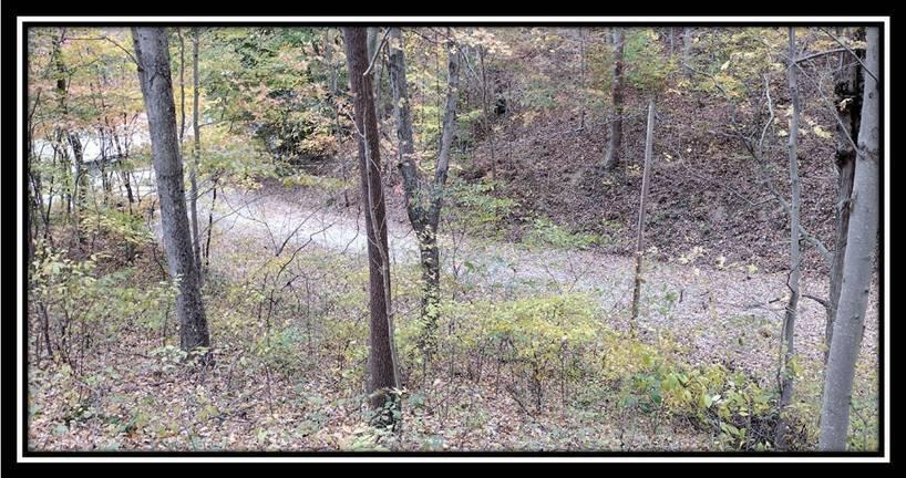 2169 Mohawk Coal Road Wellston, OH 45692 - Photo 26 of 58 image026