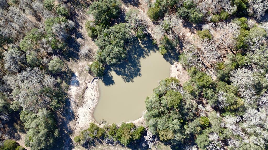 440 Boulton Creek Road Muldoon, TX 78949 - Photo 7 of 29