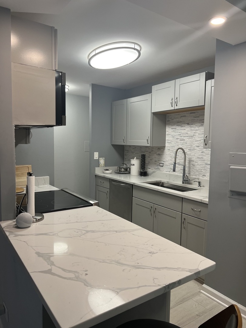 6171 North Sheridan Road, Unit 304 Chicago, IL 60660 - Photo 7 of 26