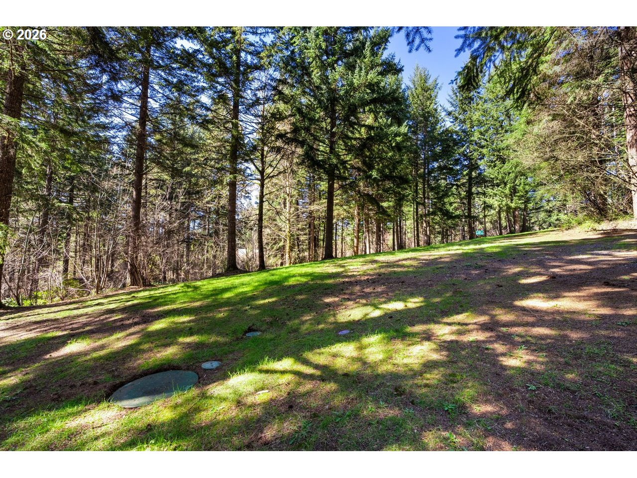 112 Bylin Road Stevenson, WA 98648 - Photo 35 of 42 a view of a yard with large trees