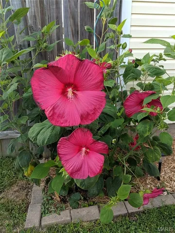 $237,500 | 306 East Putnam Street, Mount Olive, IL 62069