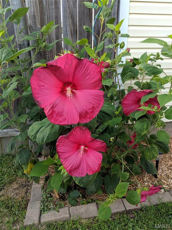 306 East Putnam Street Mount Olive, IL 62069 - Photo 28 of 30