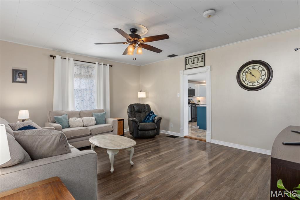 306 East Putnam Street Mount Olive, IL 62069 - Photo 3 of 30