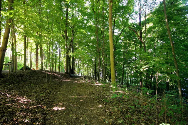 $519,900 | 24 Heron Court, Plainwell, MI 49080