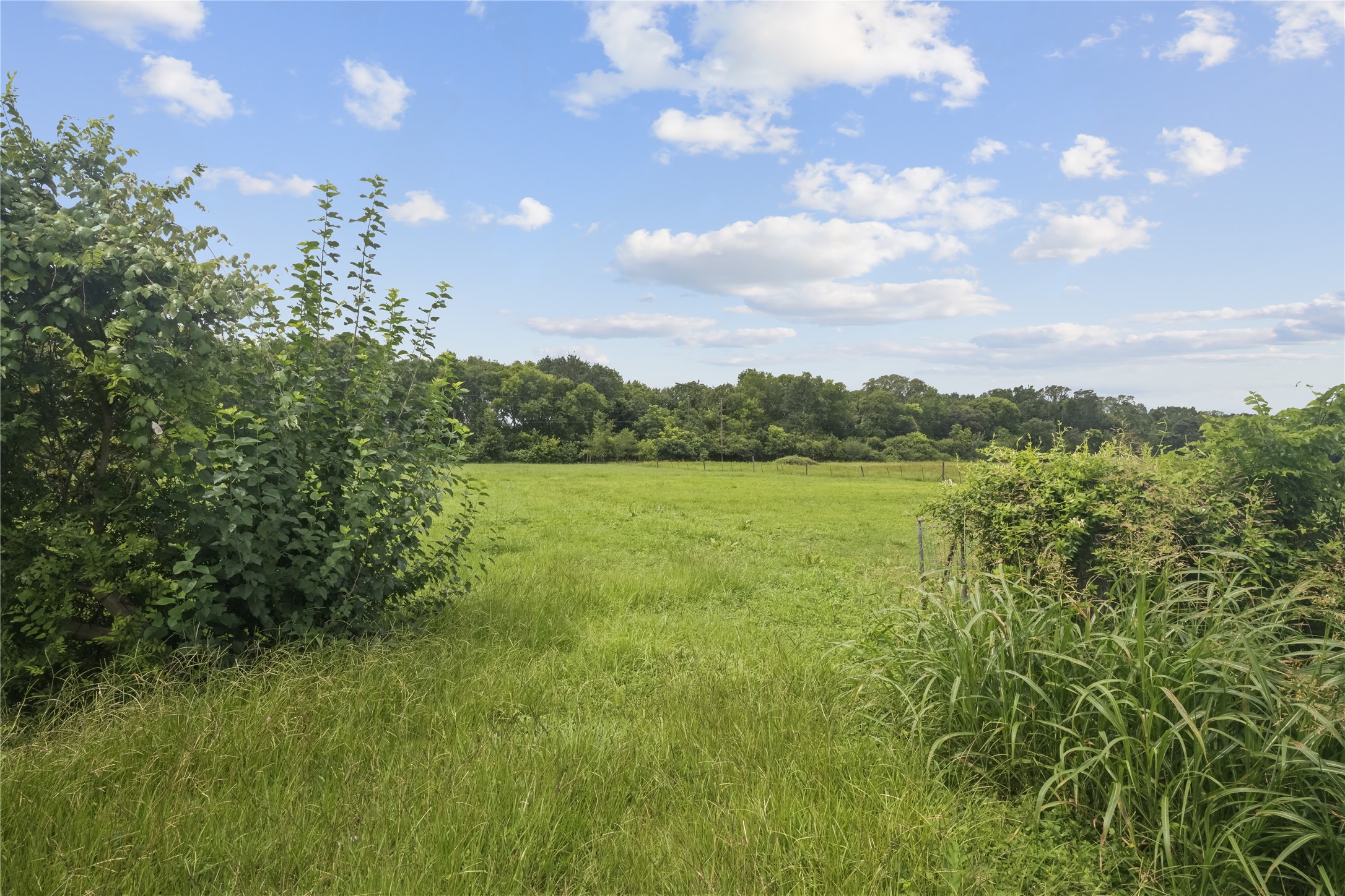 6510 Del Bello Road Manvel, TX 77578 - Photo 6 of 6