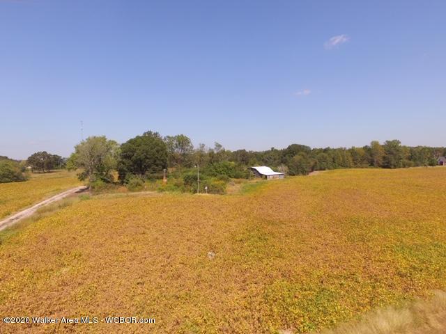 Lot 3 Arkadelphia Road Jasper, AL 35504 - Photo 8 of 9 Gallery Image 8