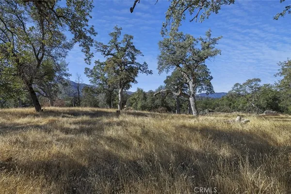 $399,000 | -39.29 Ac Village Drive, Oakhurst, CA 93644
