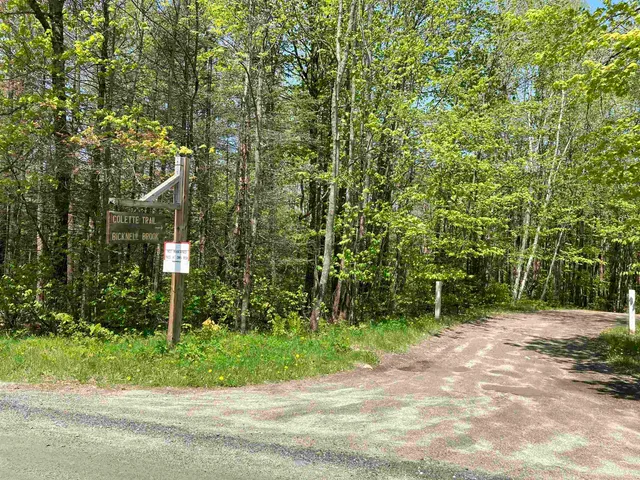 $59,500 | Lot 4 Nh Route, Enfield, NH 03748