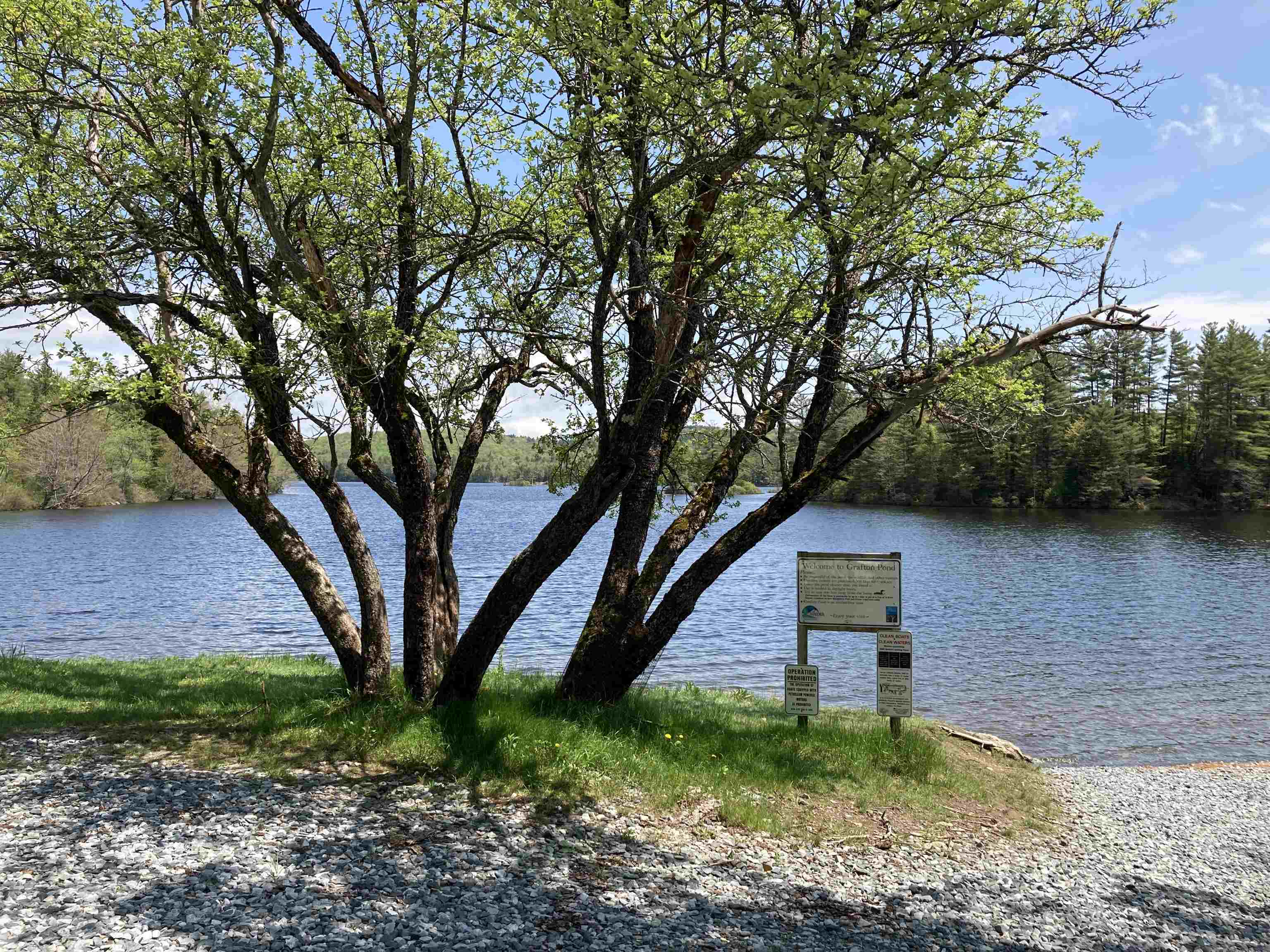 Lot 4 Nh Route Enfield, NH 03748 - Photo 6 of 12