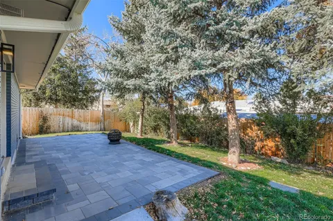 a view of backyard with tree