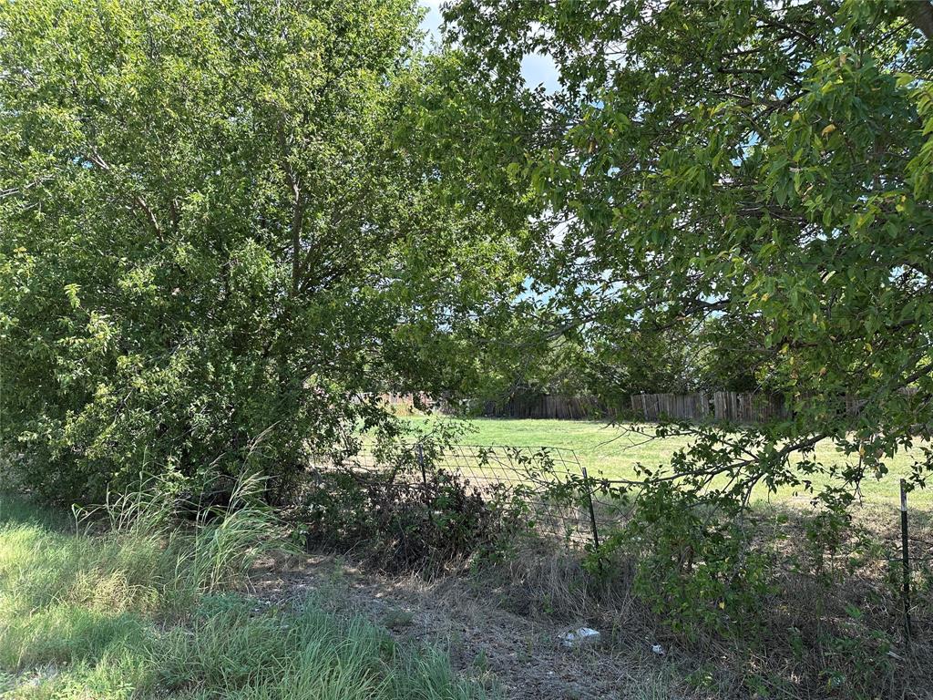 219 Hubbard Road Sunset, TX 76270 - Photo 12 of 18 a view of a yard with a tree