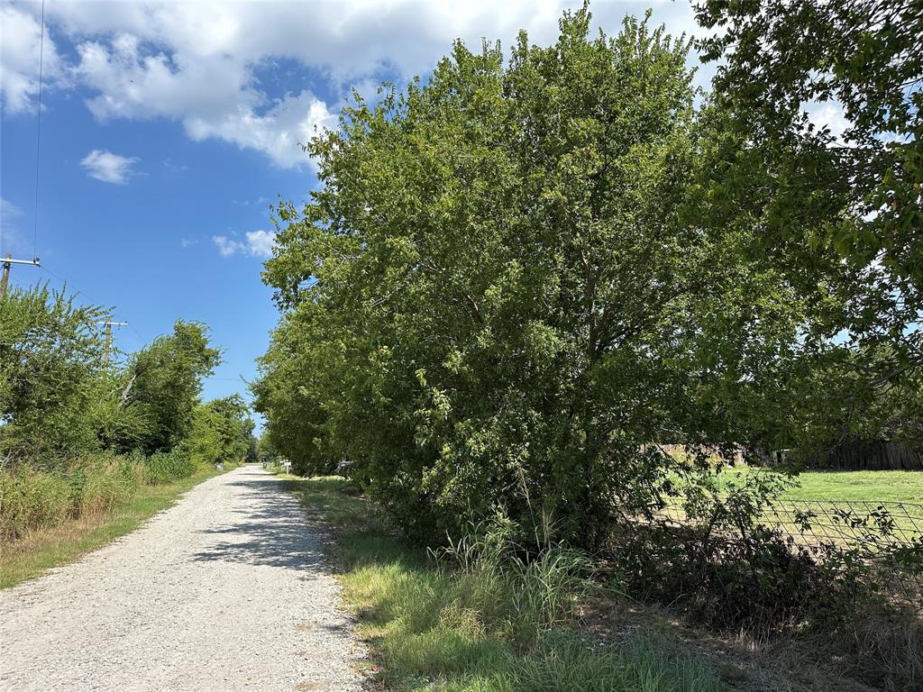 219 Hubbard Road Sunset, TX 76270 - Photo 13 of 18 a view of a yard with a tree
