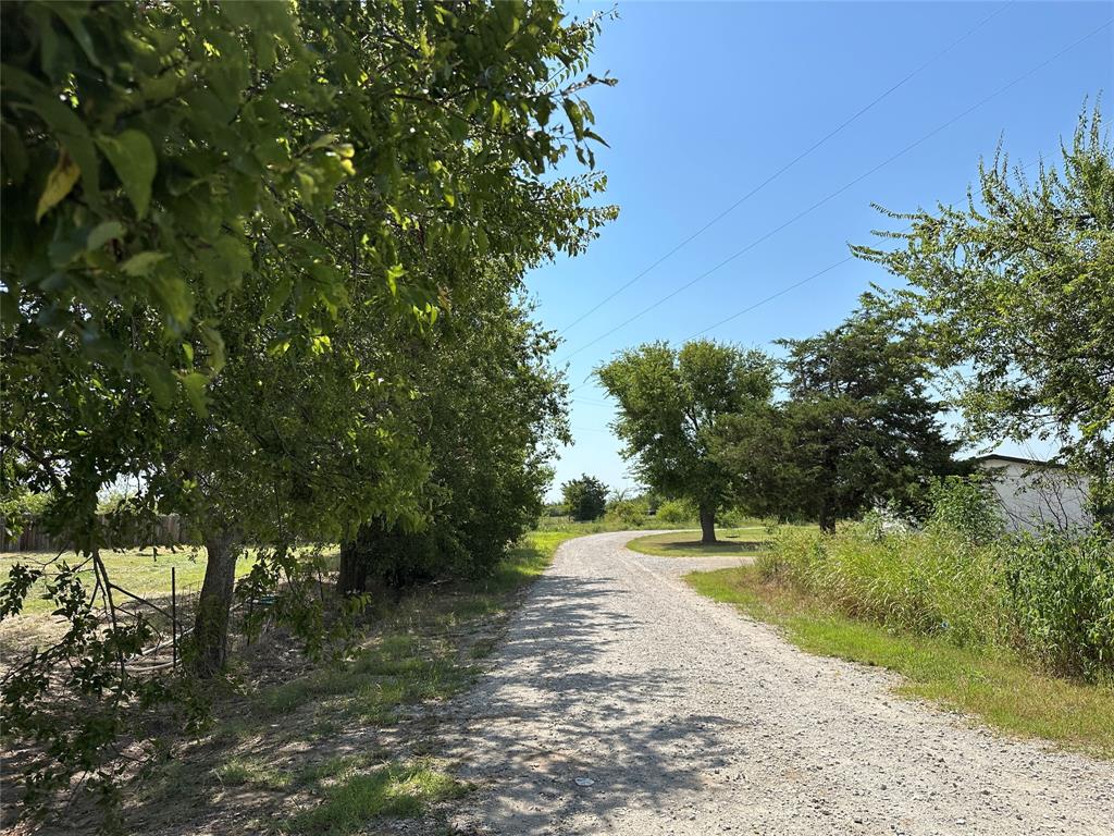 219 Hubbard Road Sunset, TX 76270 - Photo 15 of 18 a view of a yard with a tree