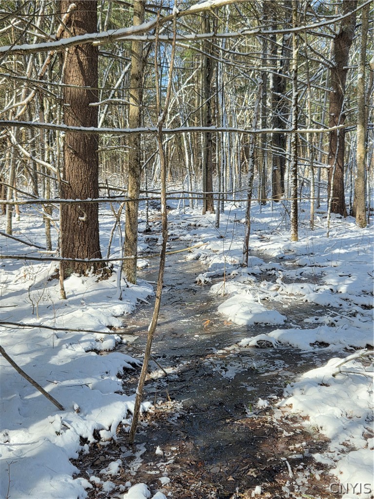 Calaboga Road Redwood, NY 13679 - Photo 4 of 11 Gallery Image 4