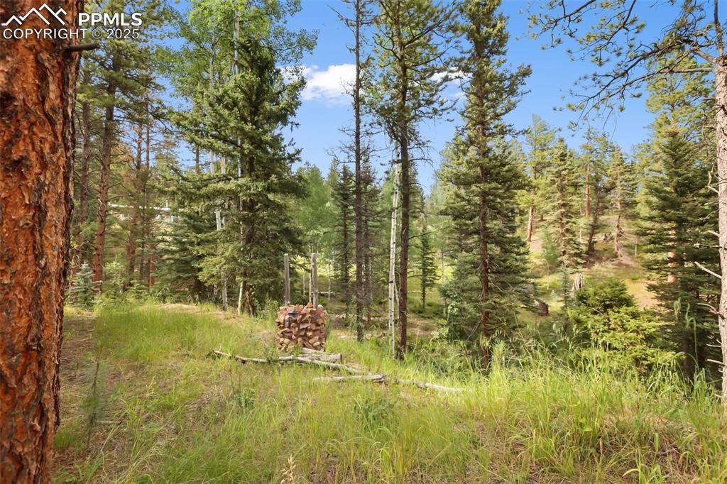 410 Rangeview Road Divide, CO 80814 - Photo 16 of 23 a view of lake view