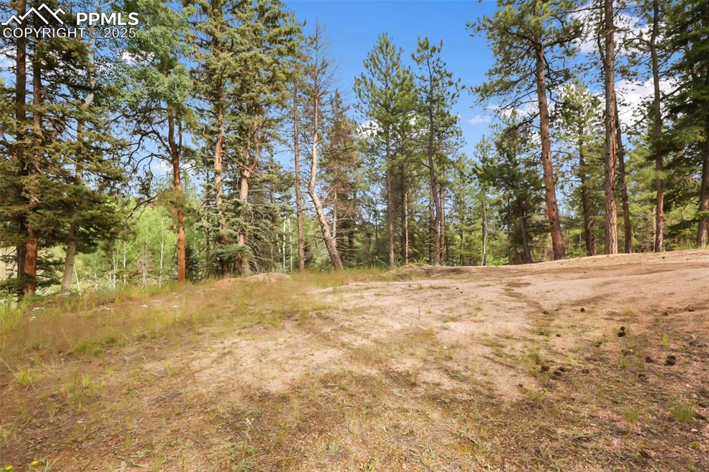 410 Rangeview Road Divide, CO 80814 - Photo 19 of 23 a view of large yard with trees