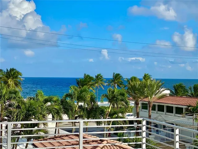 a view of a yard with plants
