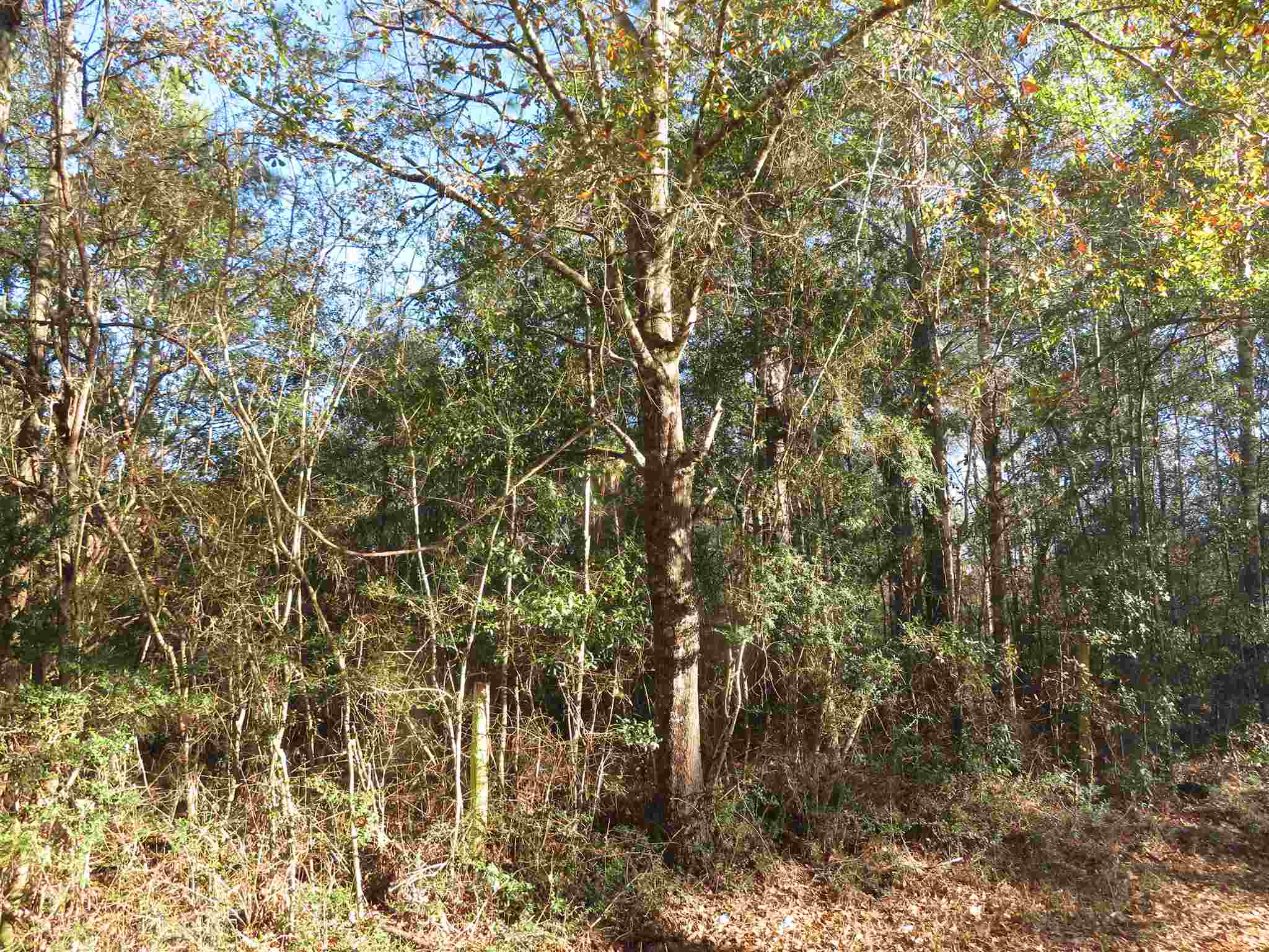 300 Fargo Road Cantonment, FL 32533 - Photo 4 of 10