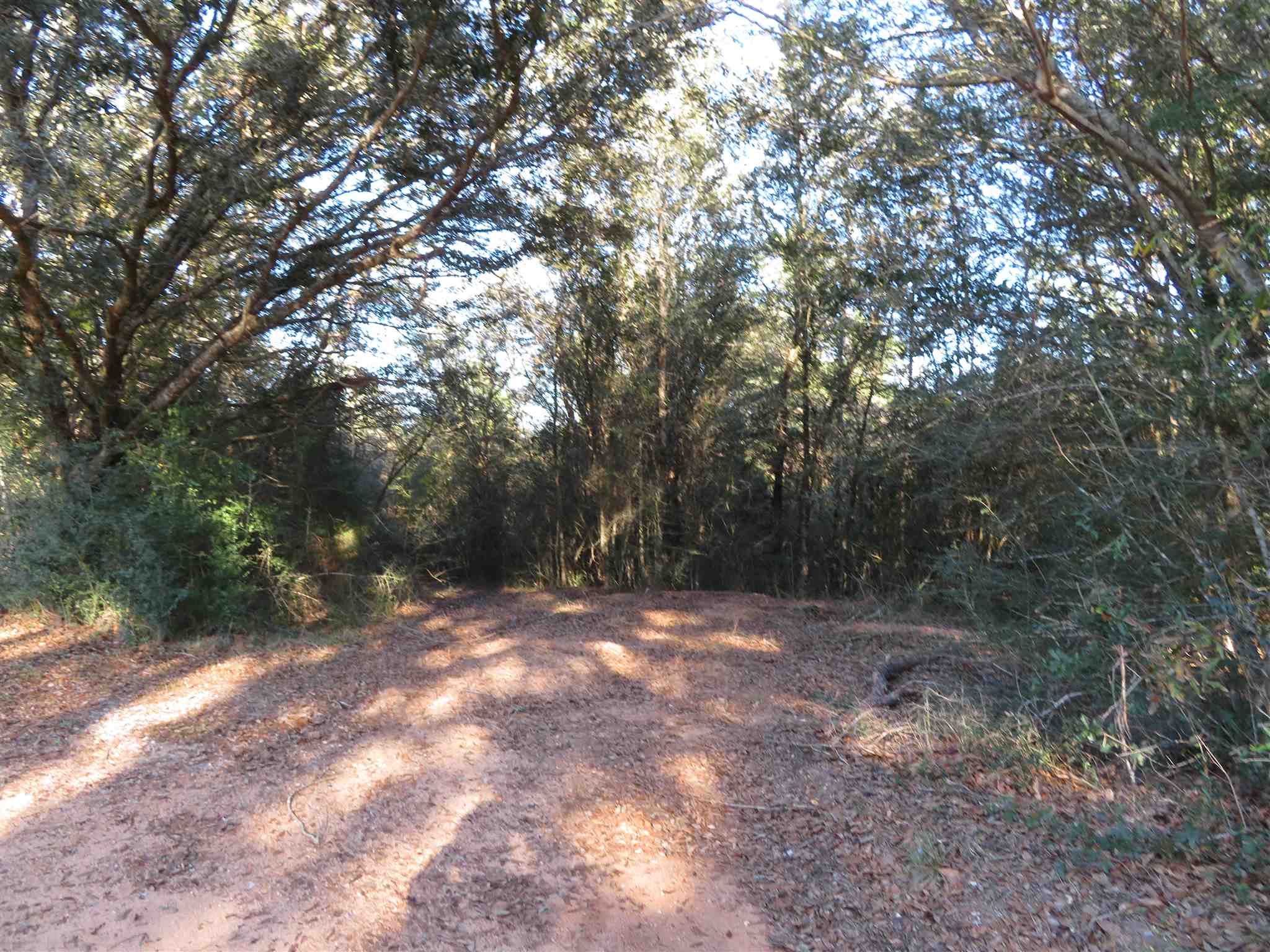 300 Fargo Road Cantonment, FL 32533 - Photo 8 of 10