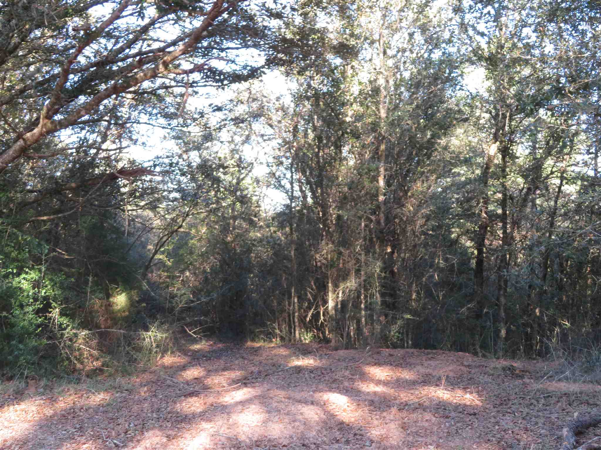 300 Fargo Road Cantonment, FL 32533 - Photo 9 of 10