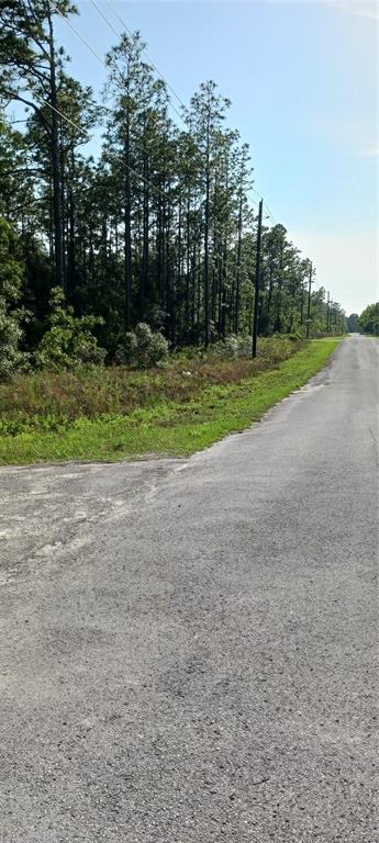 Tbd Southwest Tree Top Road Dunnellon, FL 34431 - Photo 1 of 1 Gallery Image 1