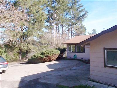 2430 Blucher Valley Road Sebastopol, CA 95472 - Photo 2 of 12