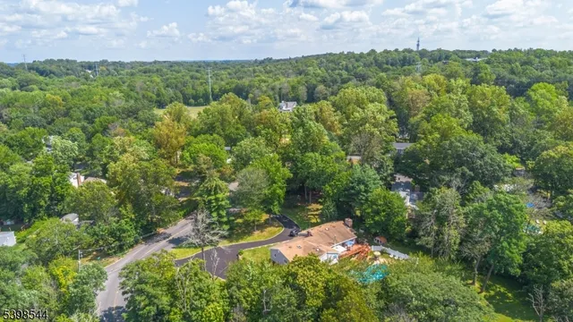 a view of a city with lush green forest