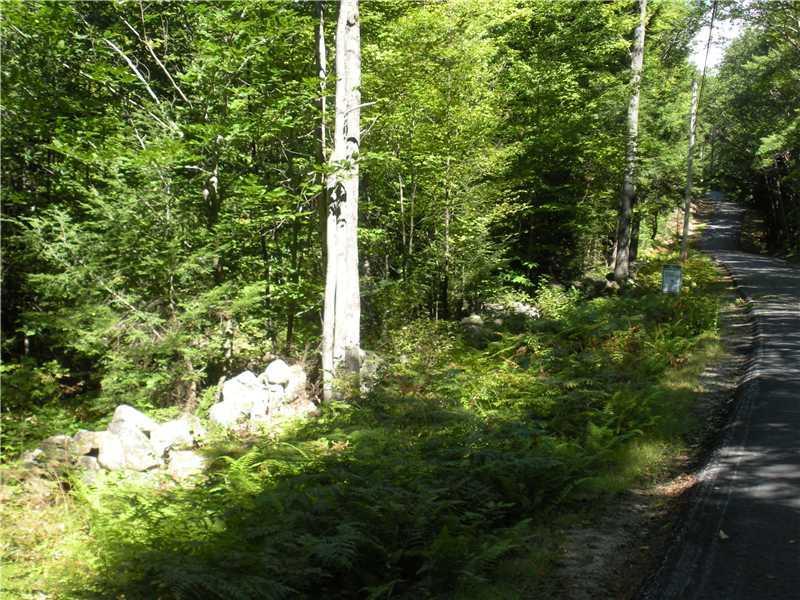 Lot 21 Hussey Road Parsonsfield, ME 04047 - Photo 3 of 15 Land. From west corner property ...