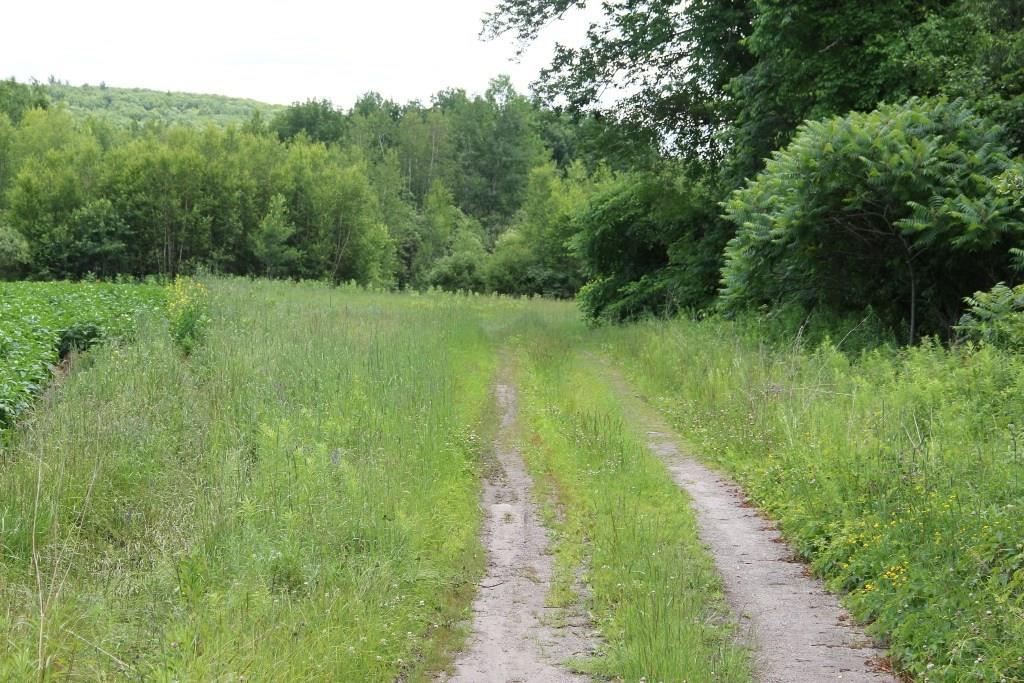 29 Pine Tree Road Litchfield, ME 04350 - Photo 2 of 10 Photo