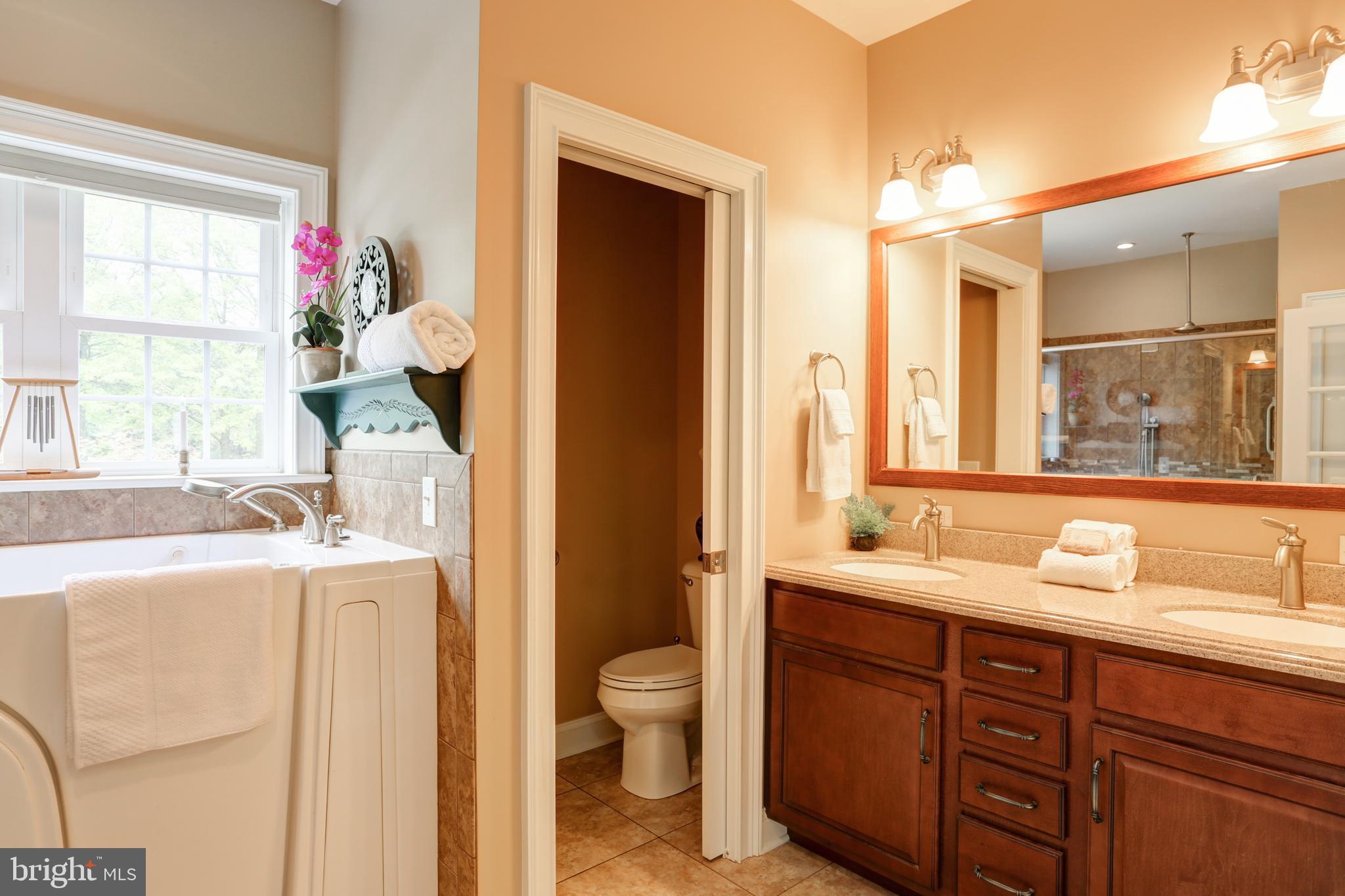 143 Shughart Road Carlisle, PA 17015 - Photo 30 of 54 Walk-in whirlpool tub