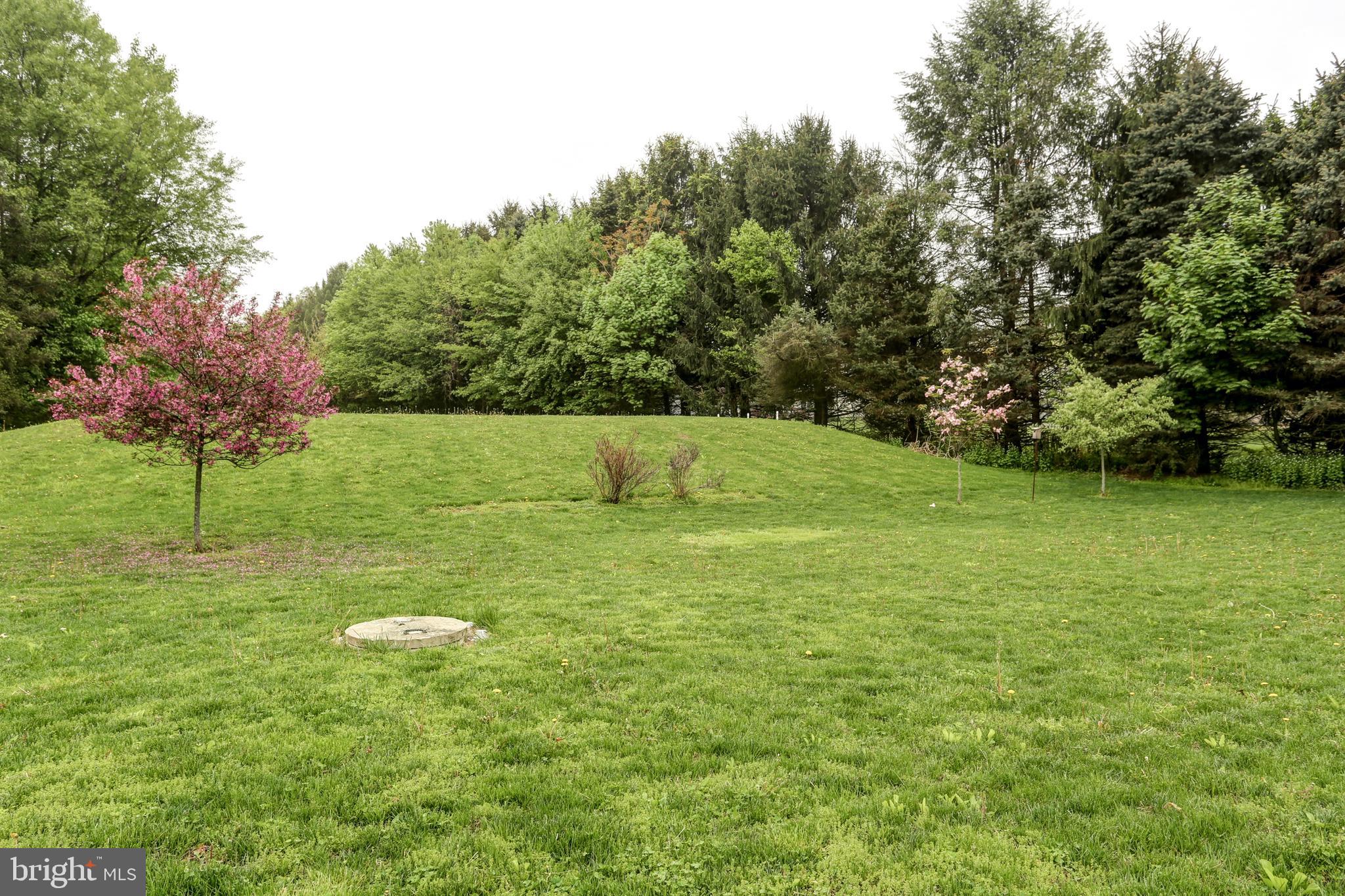 143 Shughart Road Carlisle, PA 17015 - Photo 50 of 54 Back Yard view
