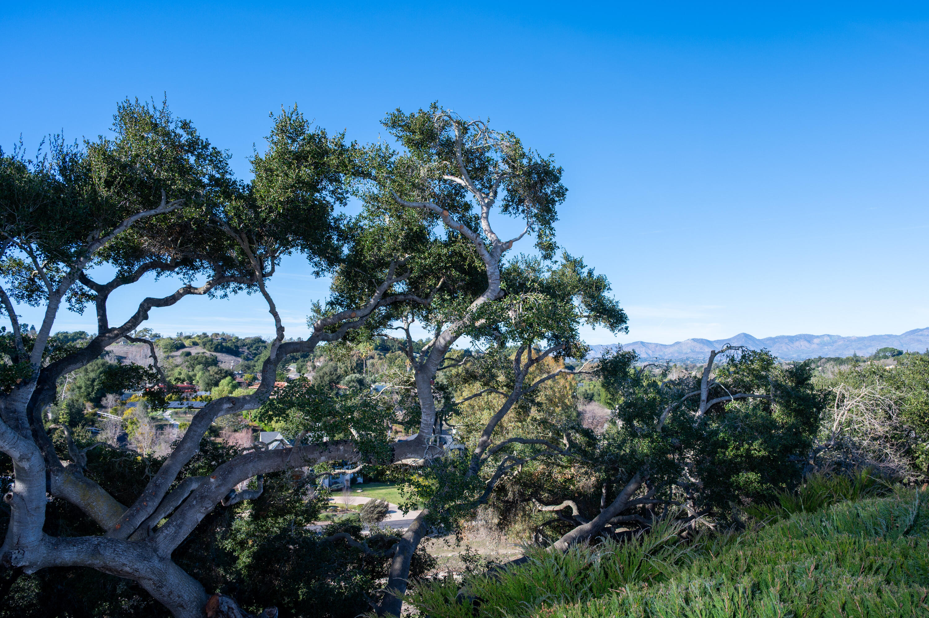 915 Ranch View Lane Solvang, CA 93463 - Photo 22 of 27 915-ranch-view-lane-Solvang-ca-24