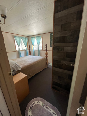 367 East Rio Grande Avenue Marysvale, UT 84750 - Photo 33 of 34 Carpeted bedroom with a textured ceiling