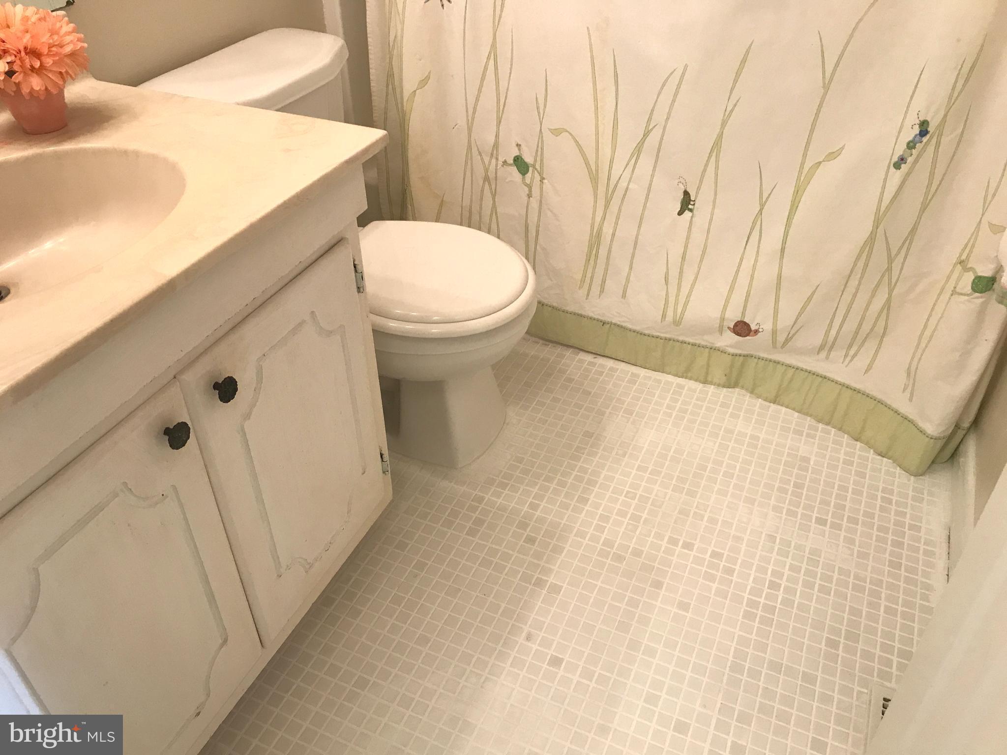 400 Colonial Ridge Lane Arnold, MD 21012 - Photo 21 of 38 Hall Bath Upper Level