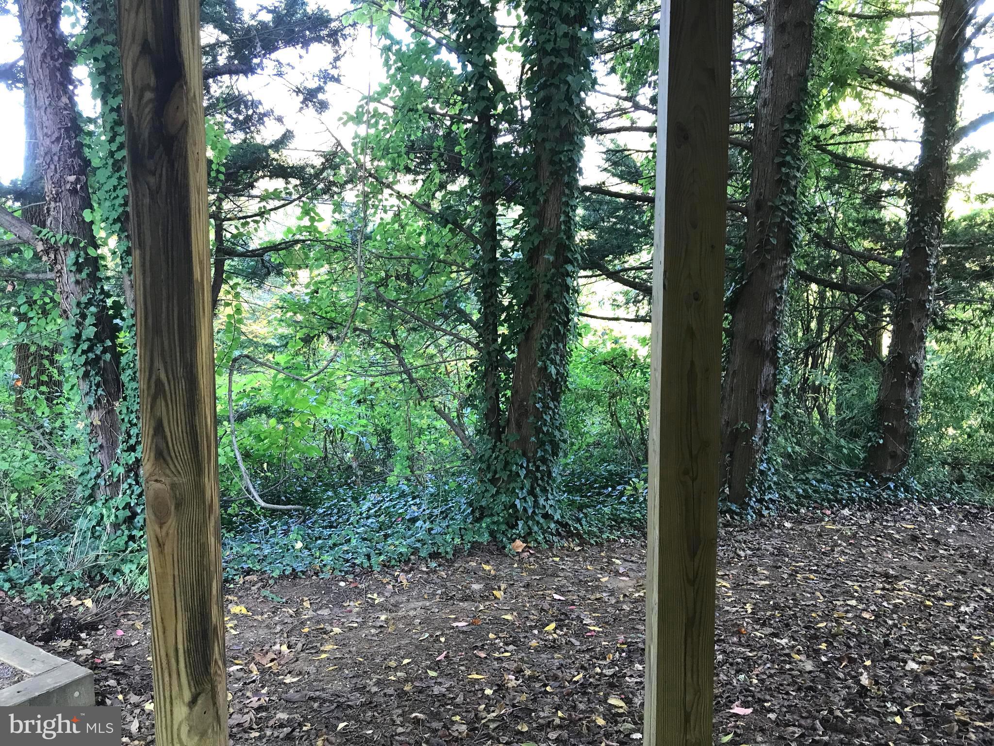 400 Colonial Ridge Lane Arnold, MD 21012 - Photo 30 of 38 Very Private Backyard