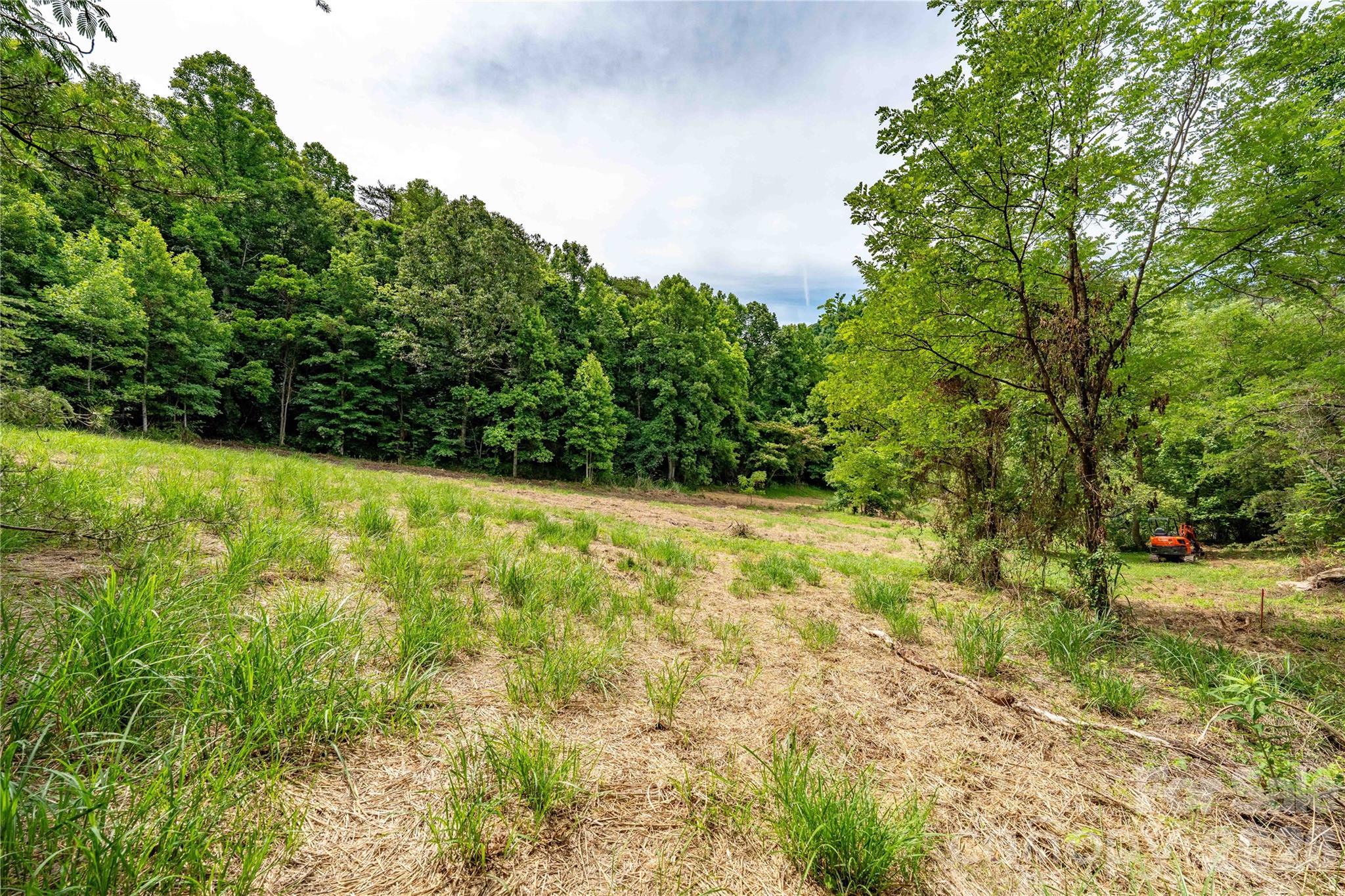 9999 Morgan Branch Road Weaverville, NC 28787 - Photo 4 of 24