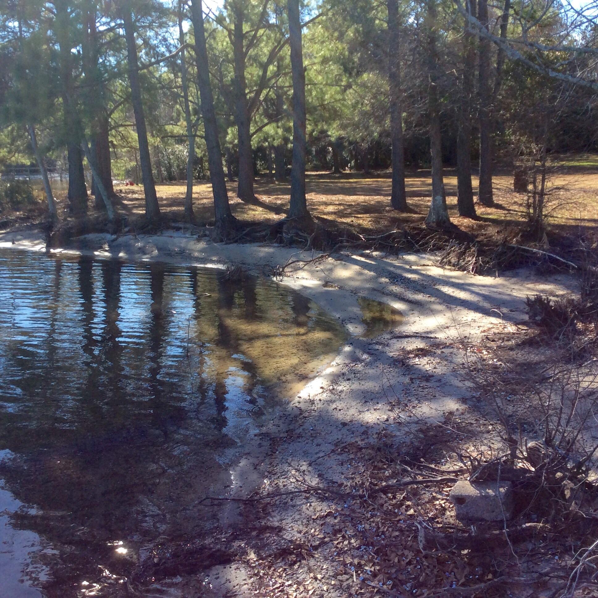 820 Alle Place Pinopolis, SC 29469 - Photo 26 of 28 image