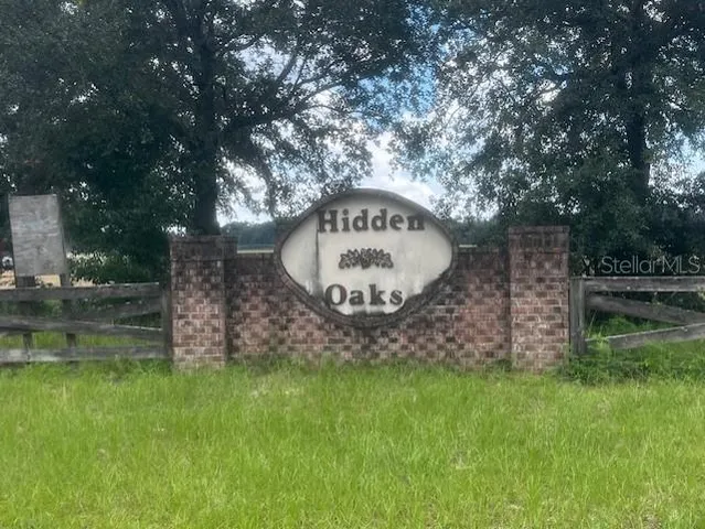 a view of a forest with trees