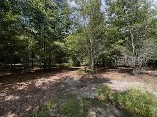 a view of a lake with a yard