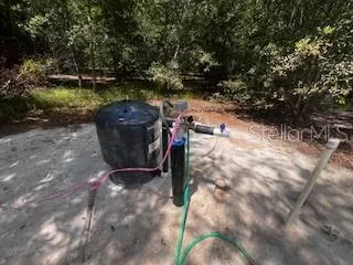 a view of a yard with a trees
